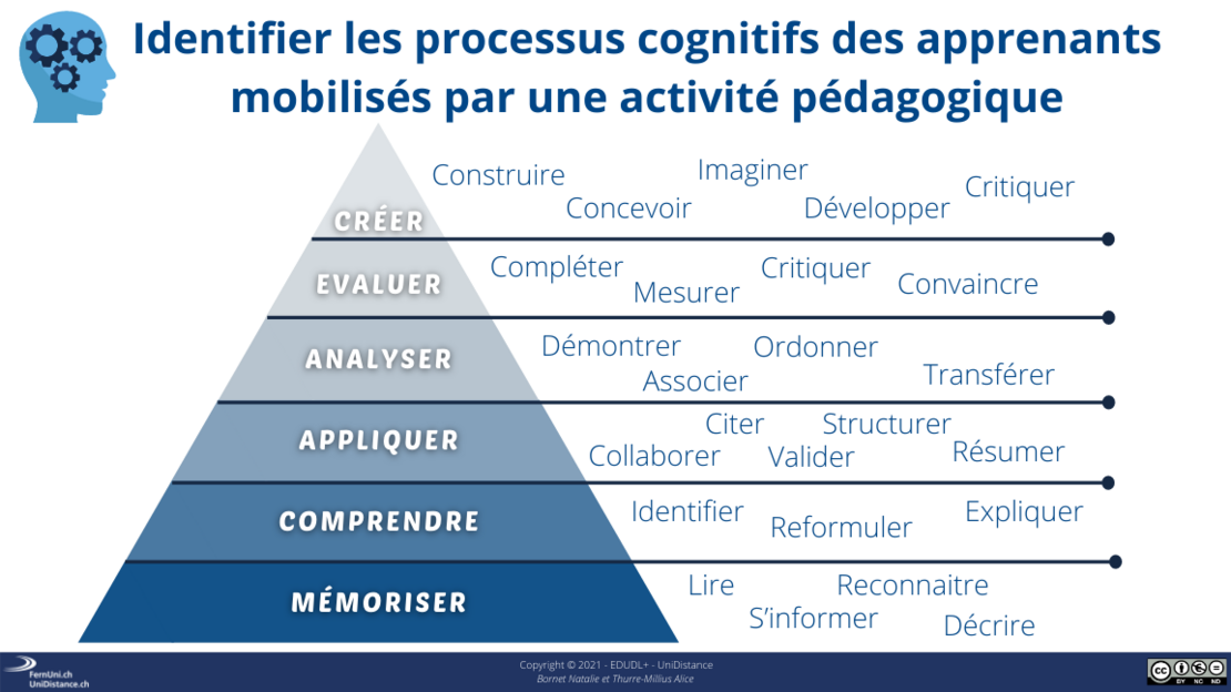 Représentation des processus cognitifs des apprenants mobilisés par une activité pédagogique